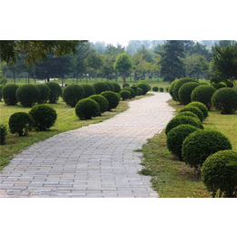 地皮草皮景觀工程-清和園林優惠多-呼和浩特景觀工程