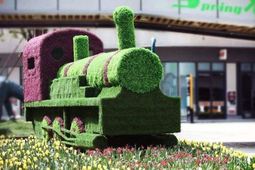 立體五色草景觀綠雕造型專(zhuān)業(yè)定制廠家 成都五色草綠雕批發(fā)廠家