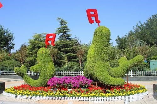 成都五色草雕塑專業定制廠家 五色草綠雕造型可來圖定制保質保量